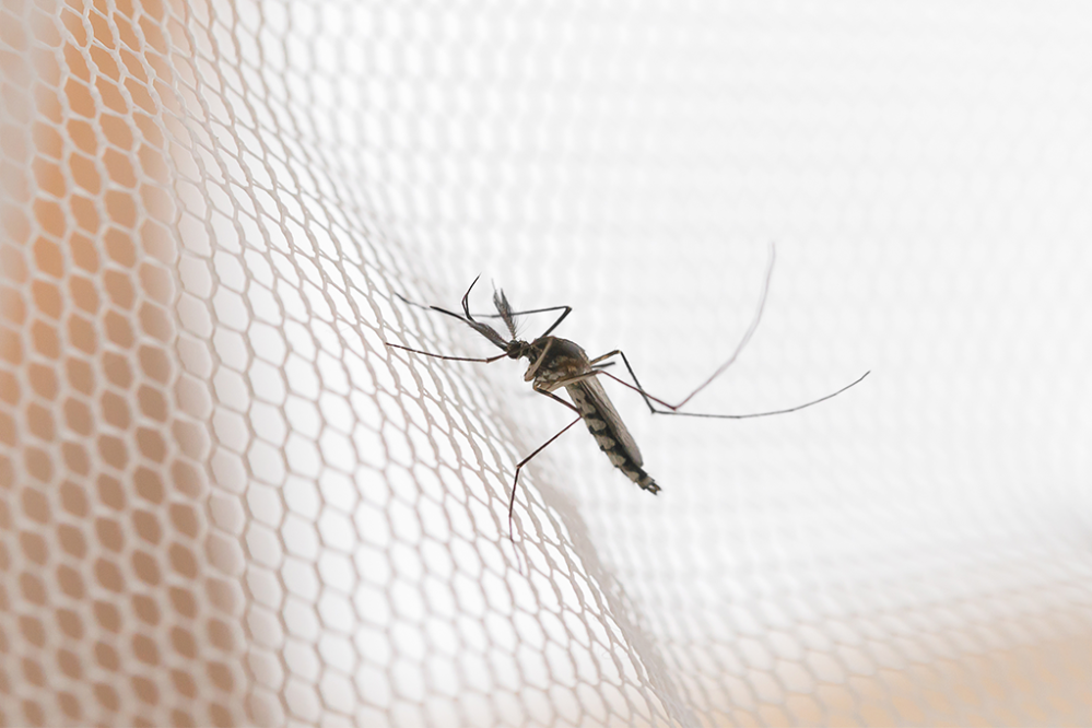 Pulvérisation insecticide à Tourette-Levens